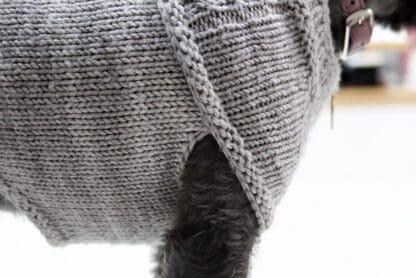 Jacqueline Cieslak Dog Sweater