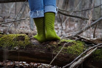 Fern Socks - Knitterella