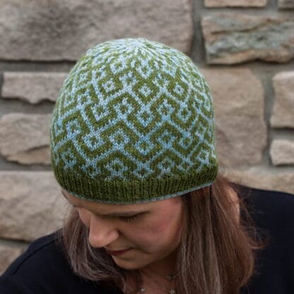 Paradigm Shift Hat - Lisa K Ross