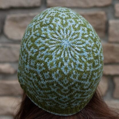 Paradigm Shift Hat - Lisa K Ross