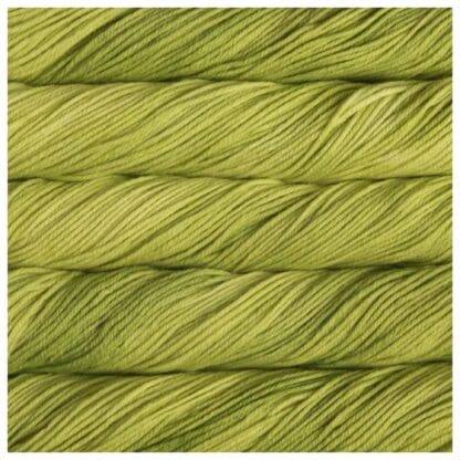 Malabrigo Rios - Apple Green