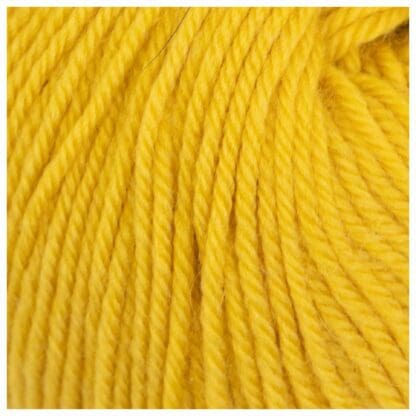 Bambini 4 - Extrafine Merino - Mustard #241