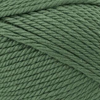 Peppin 14 - Australian Fine Merino - Forest