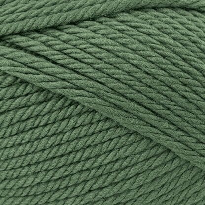 Peppin 14 - Australian Fine Merino - Forest